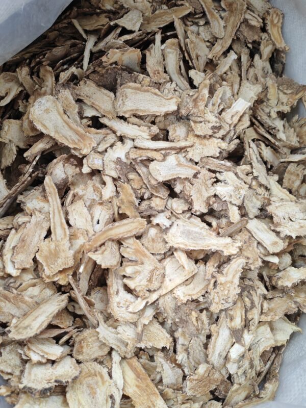 Chinese angelica root cultivation in its source region dong quai for women’s health - Image 7
